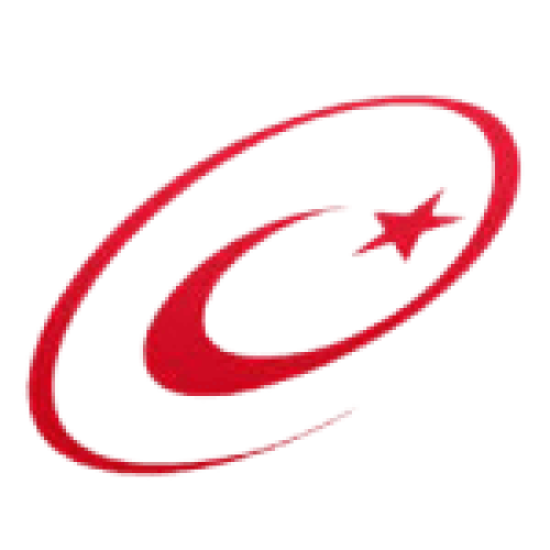E-Devlet Logo.